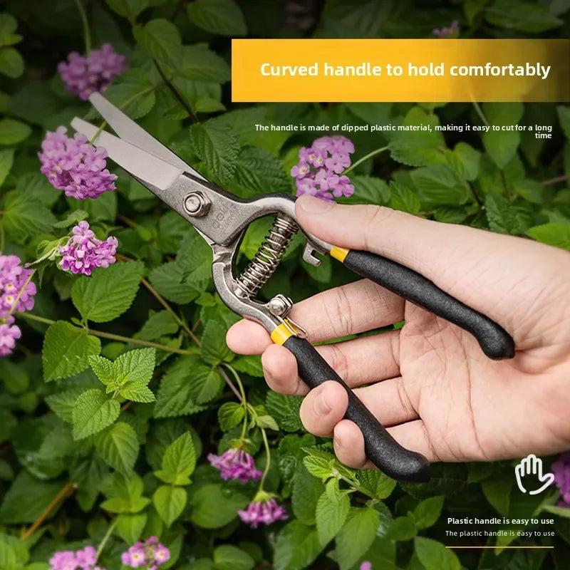 Deli 2 Pcs/set Garden Pruner Shears Bonsai Gardening Pruning Shears Curved and Straight Nose Scissors for The Garden Hand Tools