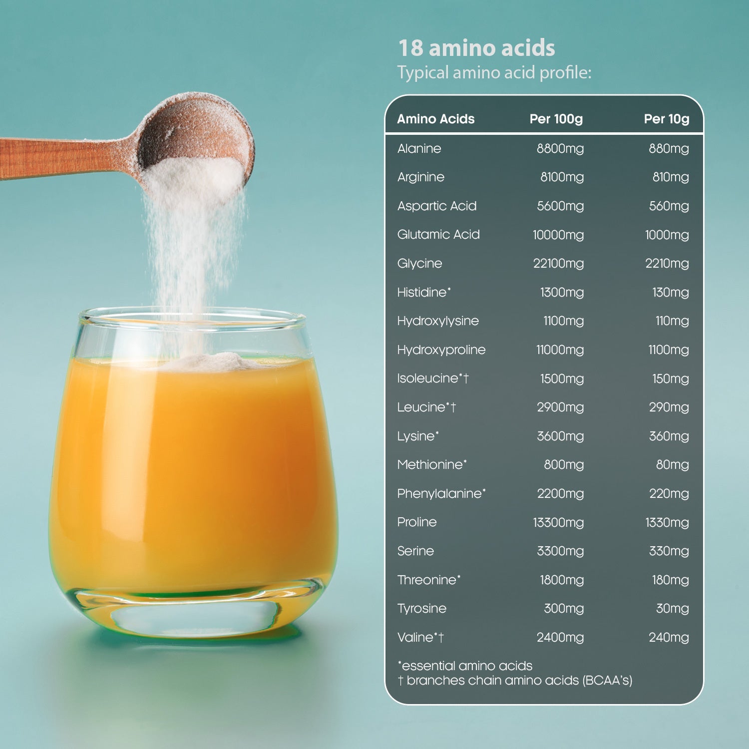 Pure Collagen Supplement – 97% Protein, 18 Amino Acids - 4USelects