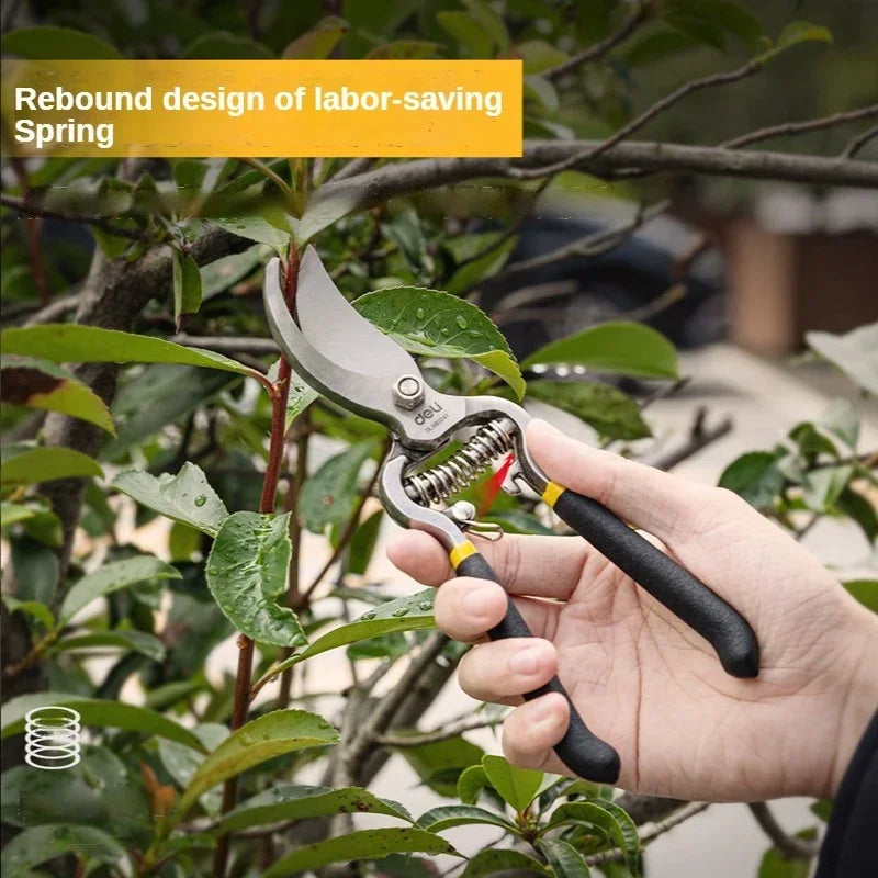 Deli 2 Pcs/set Garden Pruner Shears Bonsai Gardening Pruning Shears Curved and Straight Nose Scissors for The Garden Hand Tools