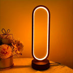 Ring - Shaped LED Desk Lamp - 3 - Color Dimmable USB - 4USelects