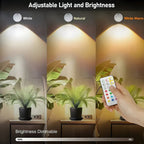 Wireless LED Spotlight Battery Powered – 3 Colors - 4USelects